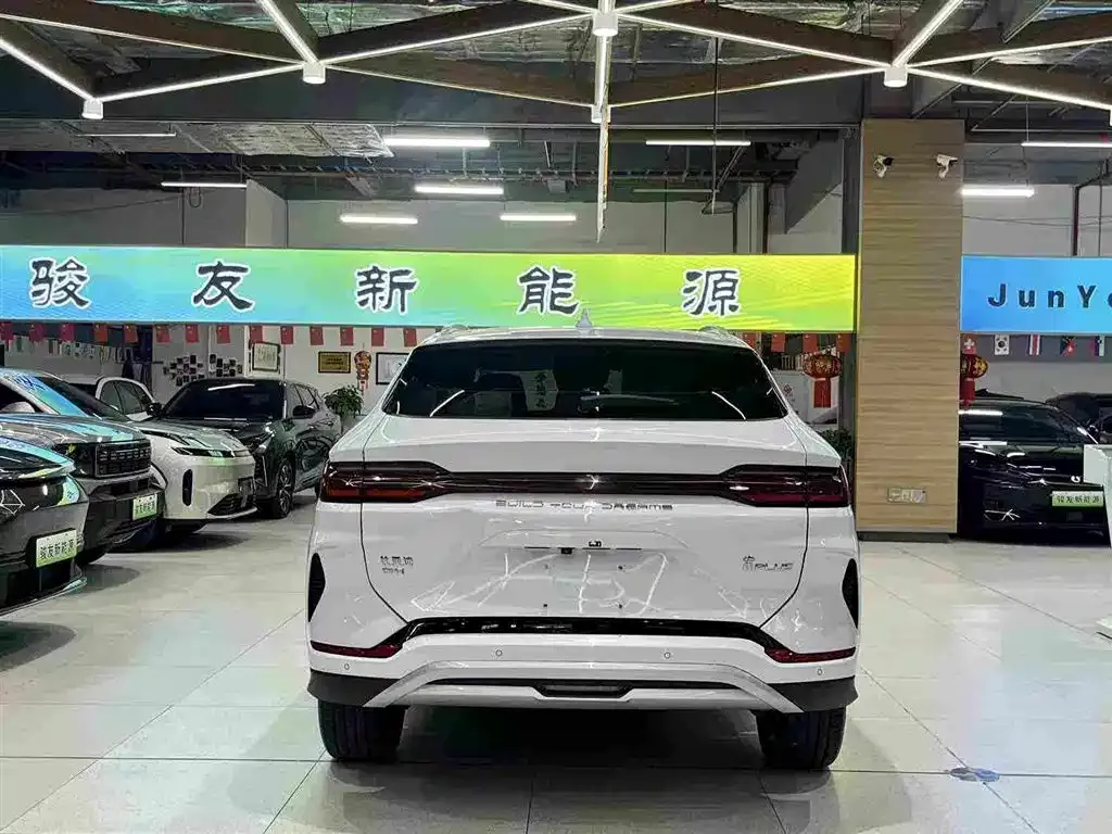 BYD PLUS New Energy — фото 5