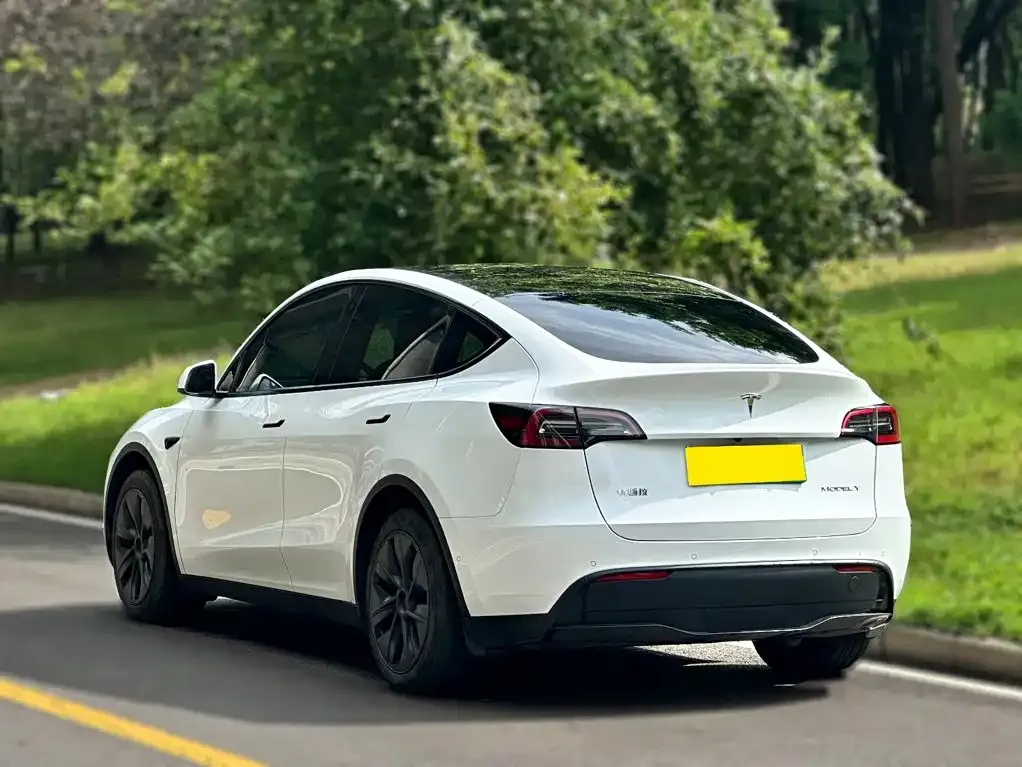 Tesla Model Y — фото 3