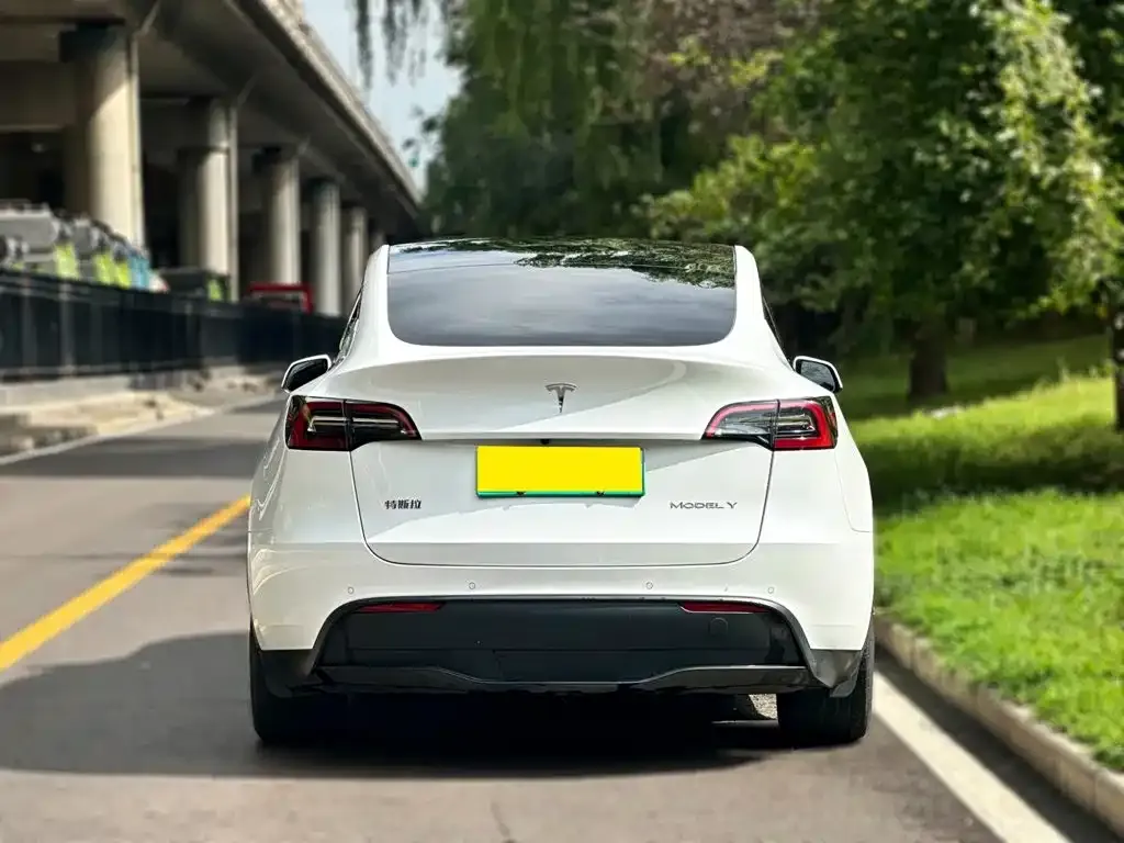 Tesla Model Y — фото 2