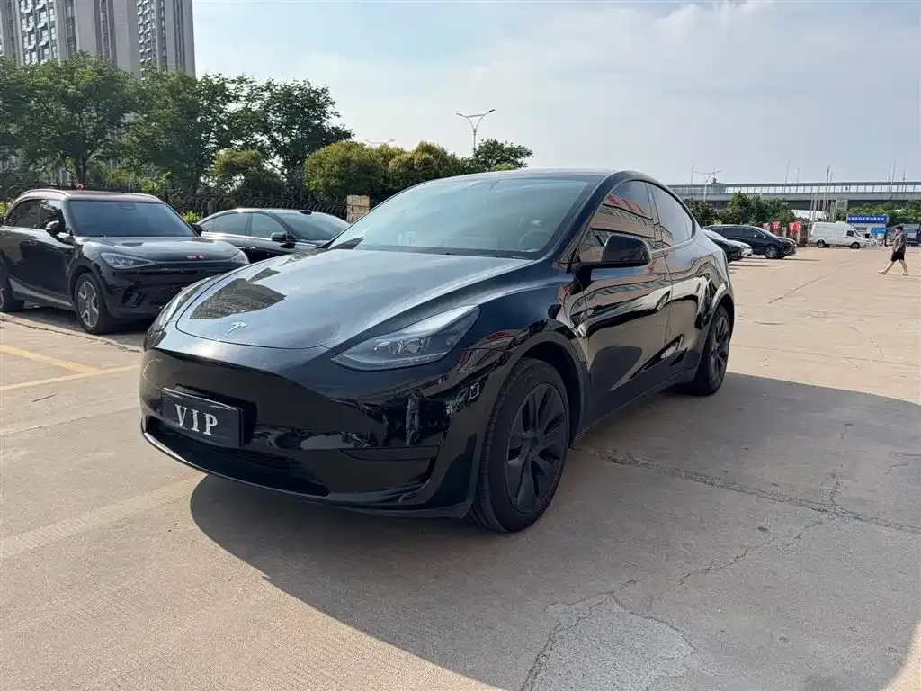 Tesla Model Y — фото 1