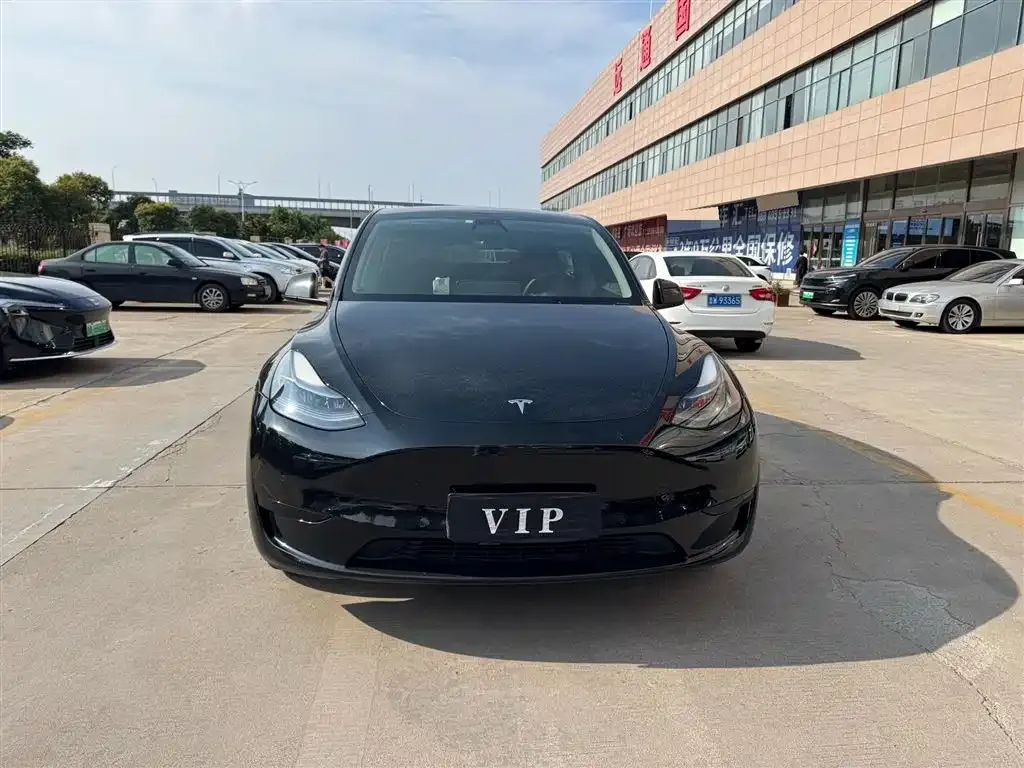 Tesla Model Y — фото 6