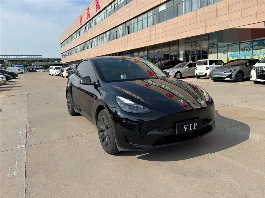 Tesla Model Y — фото 2