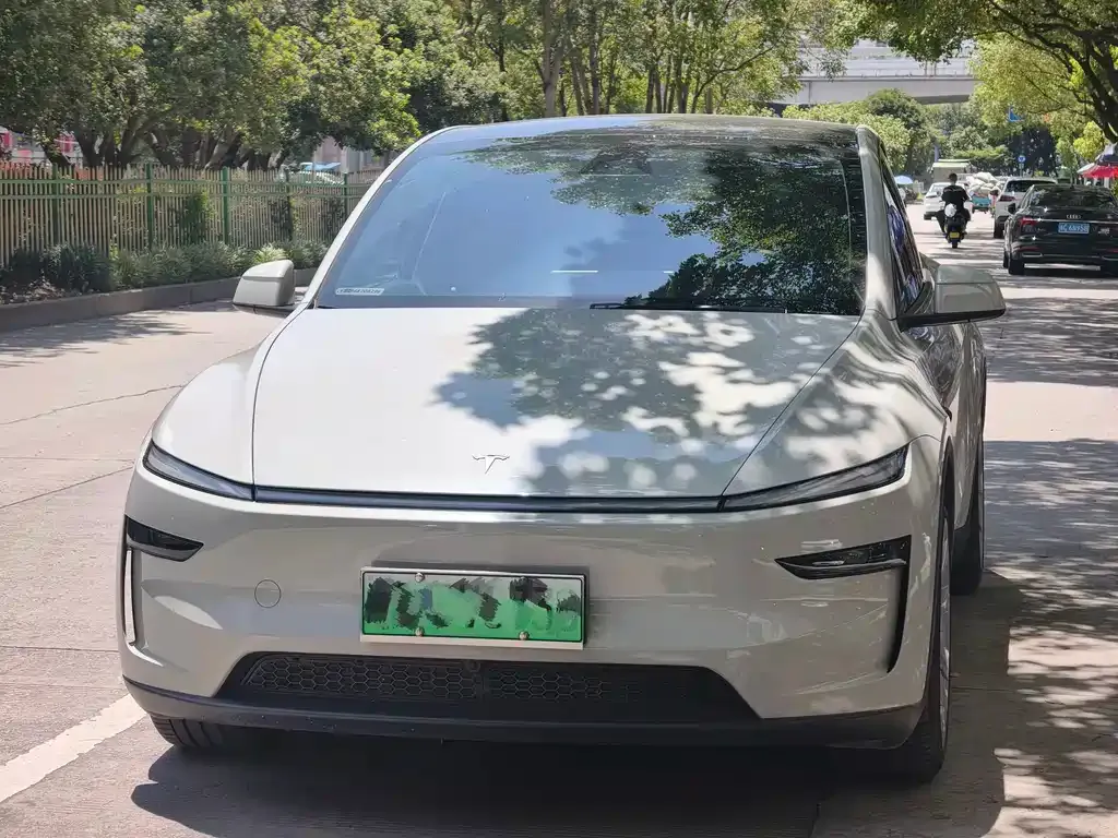 Tesla Model Y — фото 6
