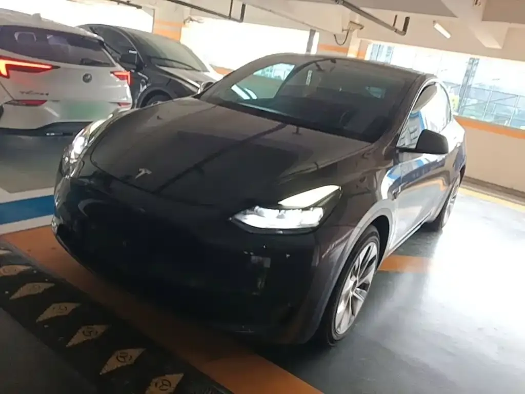Tesla Model Y — фото 5