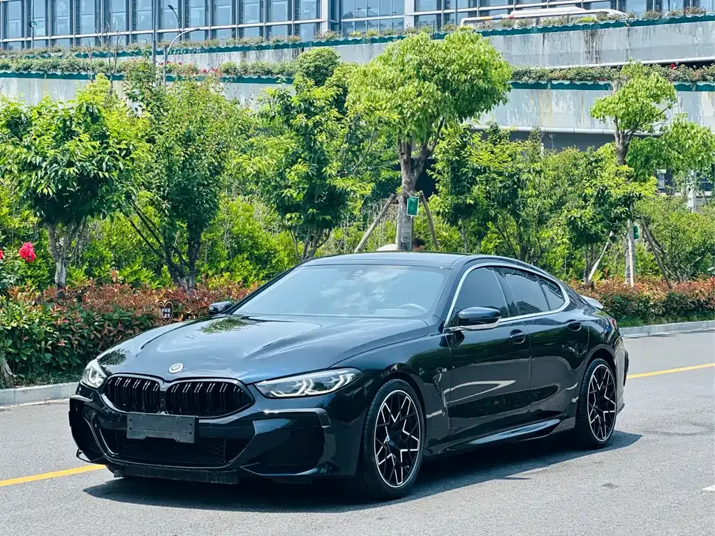 BMW 8 Series — фото 1