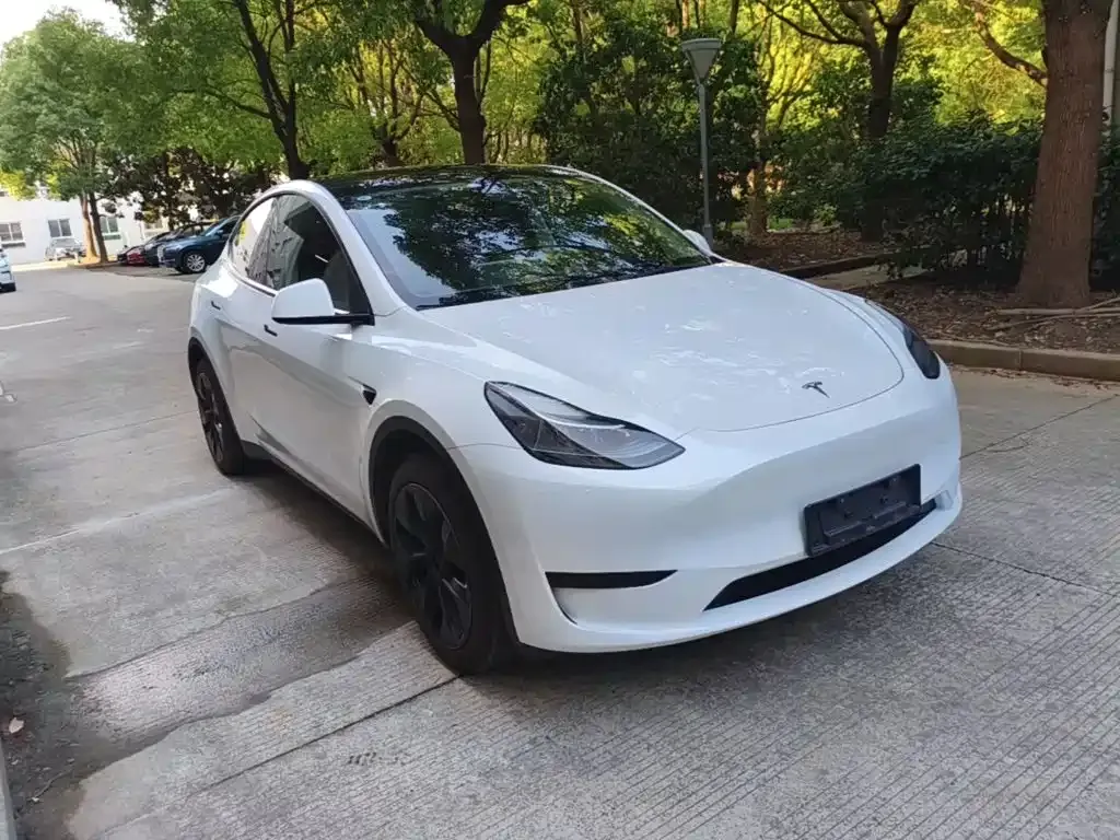 Tesla Model Y — фото 9