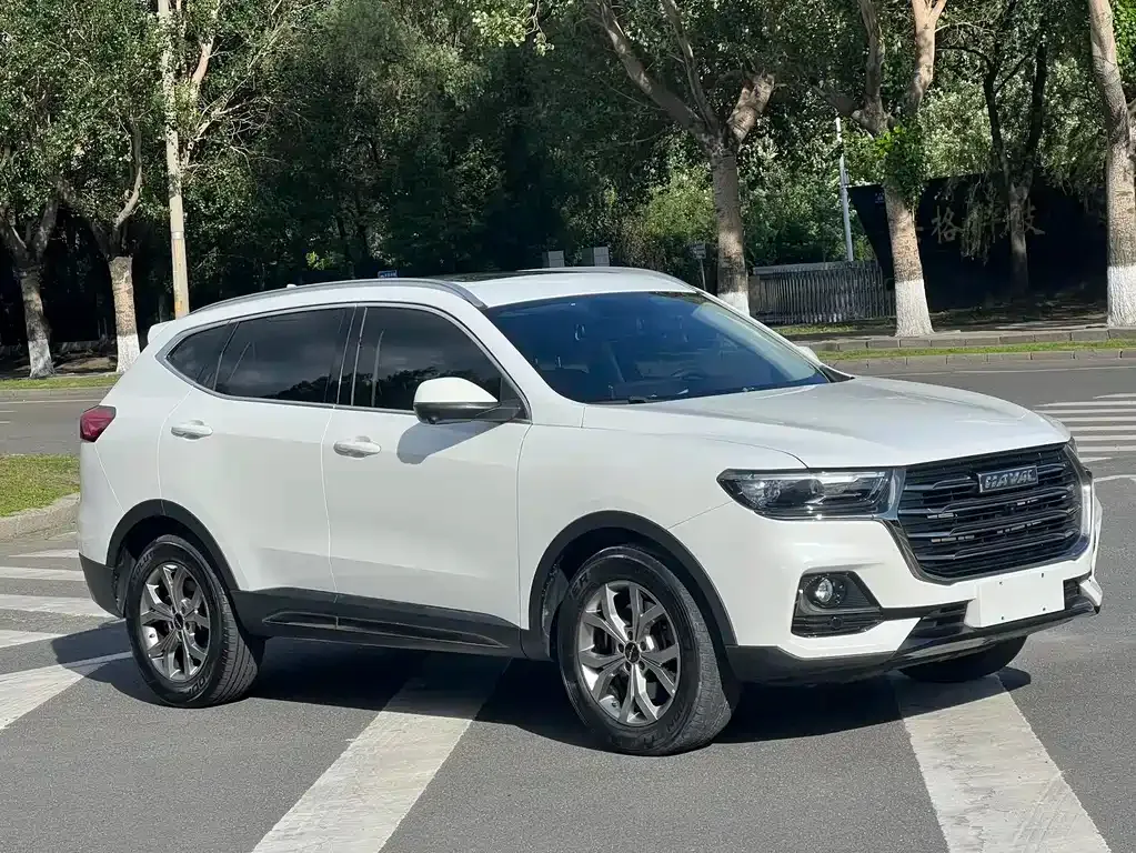 Haval H6 — фото 10