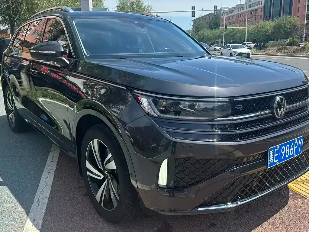 Volkswagen Tavendor 2024 из CN, фото 6