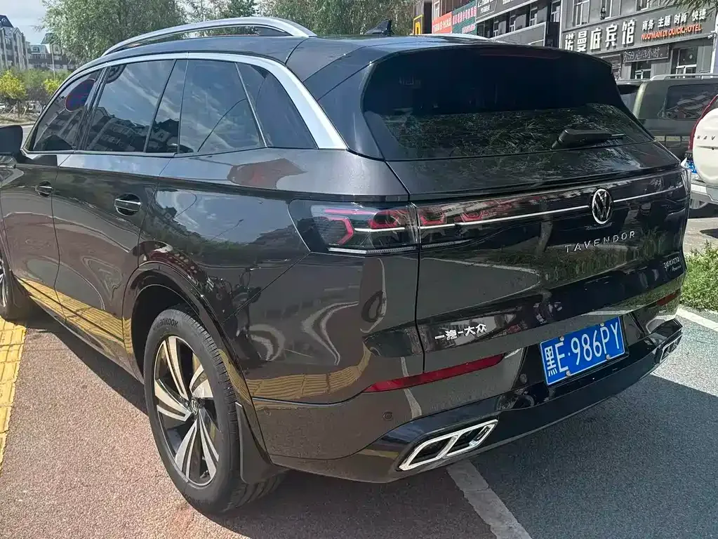 Volkswagen Tavendor 2024 из CN, фото 9