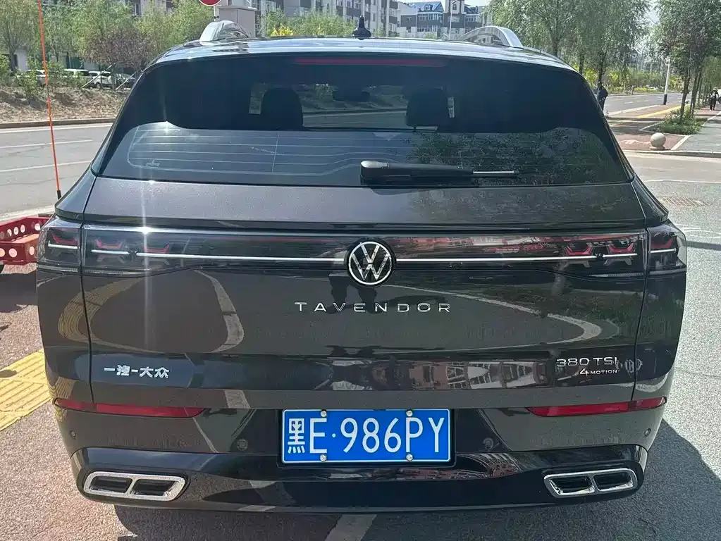 Volkswagen Tavendor 2024 из CN, фото 5