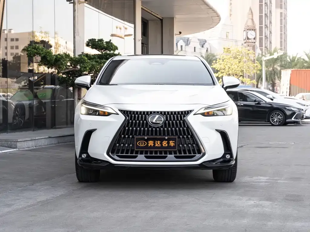 Lexus NX — фото 6