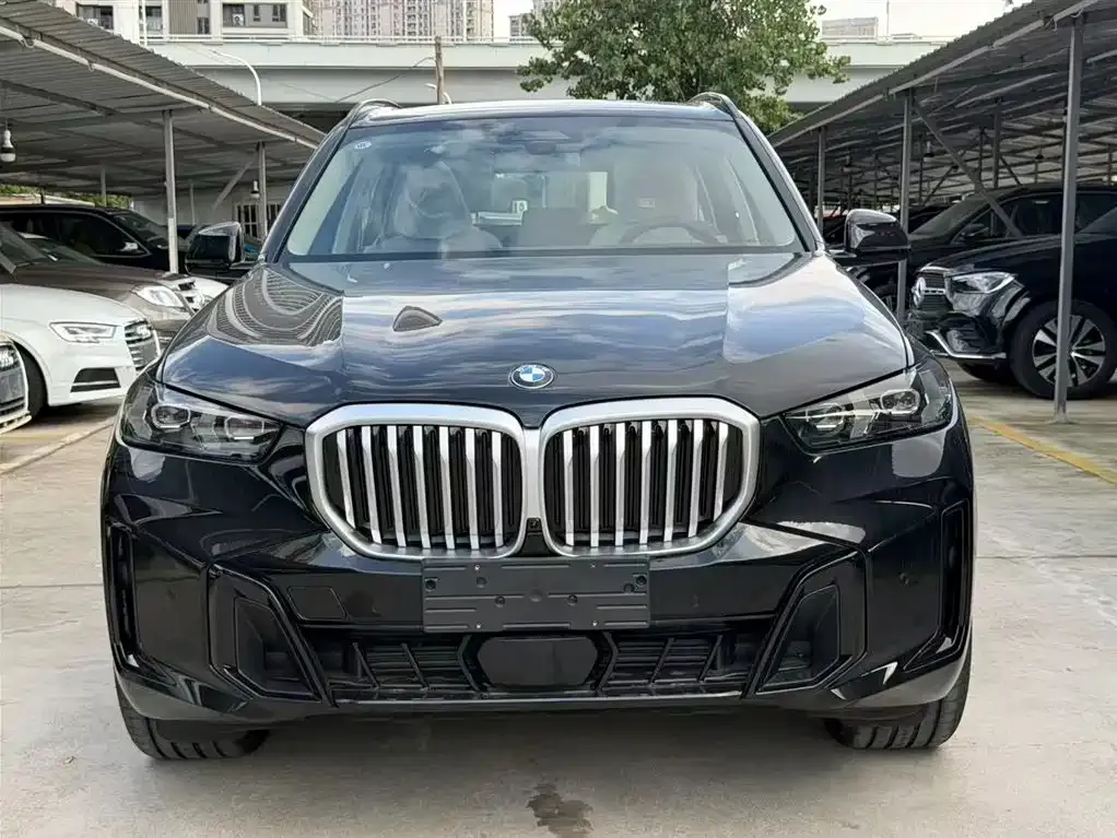 BMW X5 — фото 9