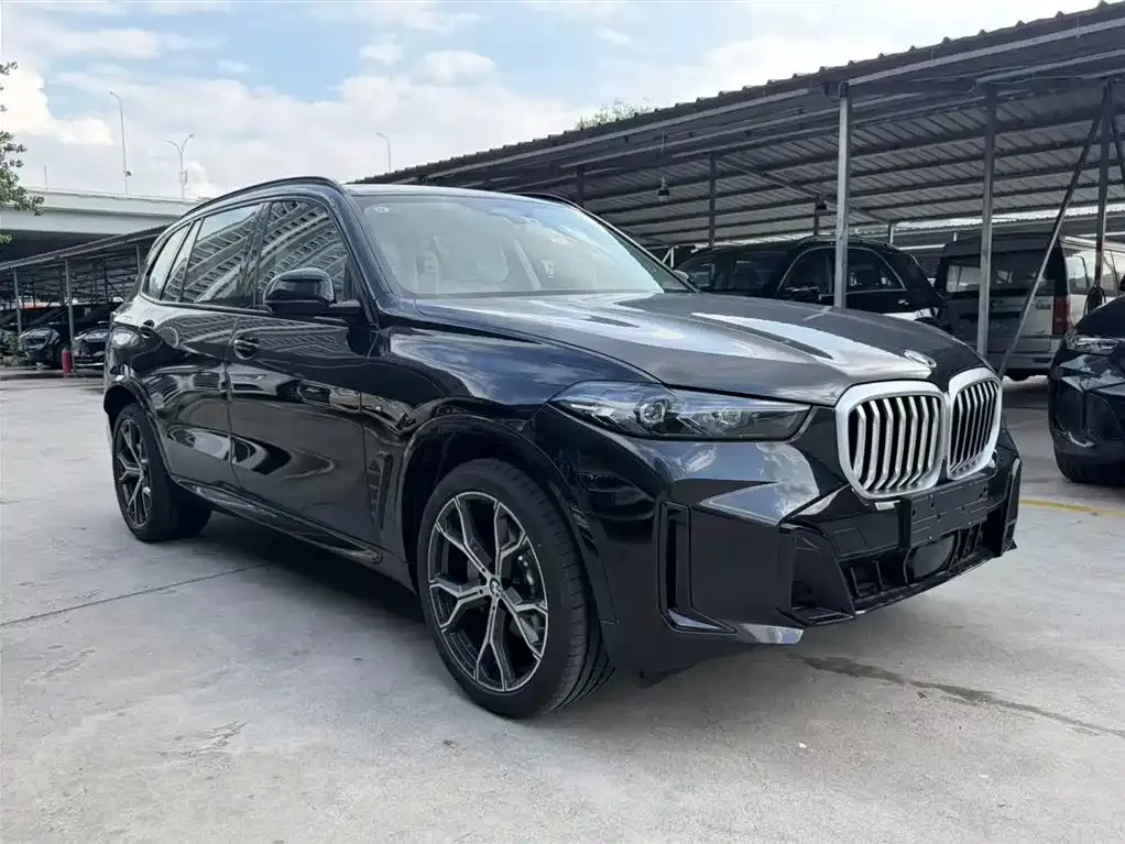 BMW X5 — фото 6