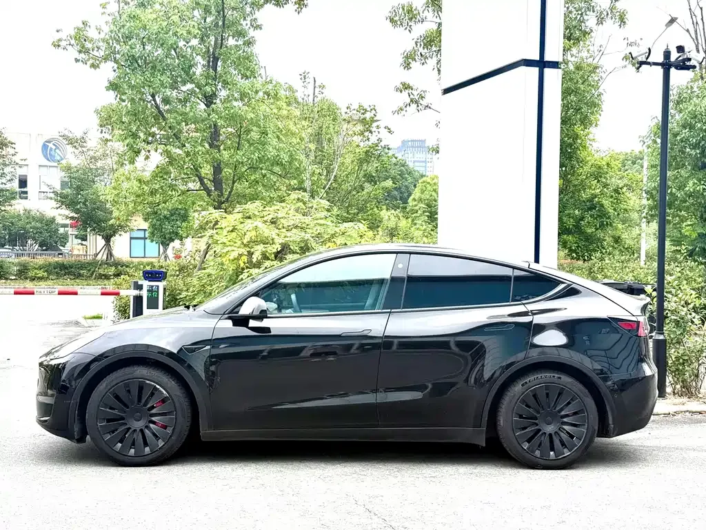 Tesla Model Y — фото 10