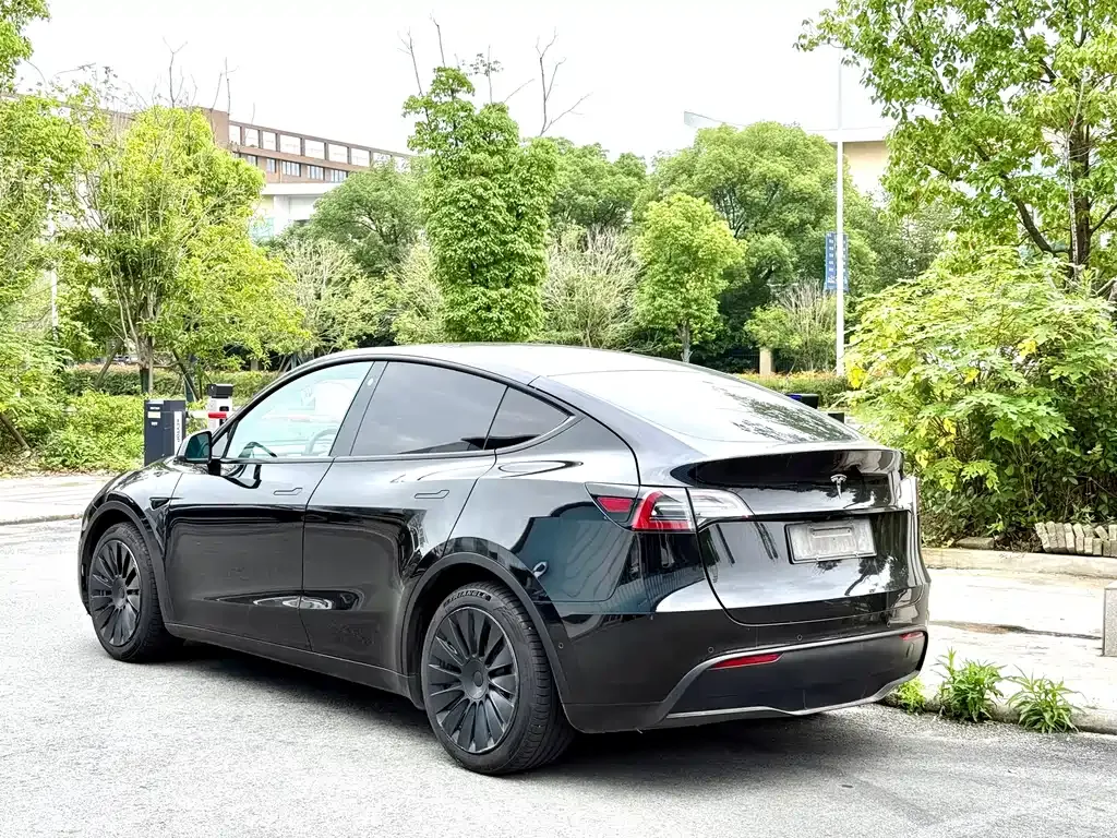 Tesla Model Y — фото 9