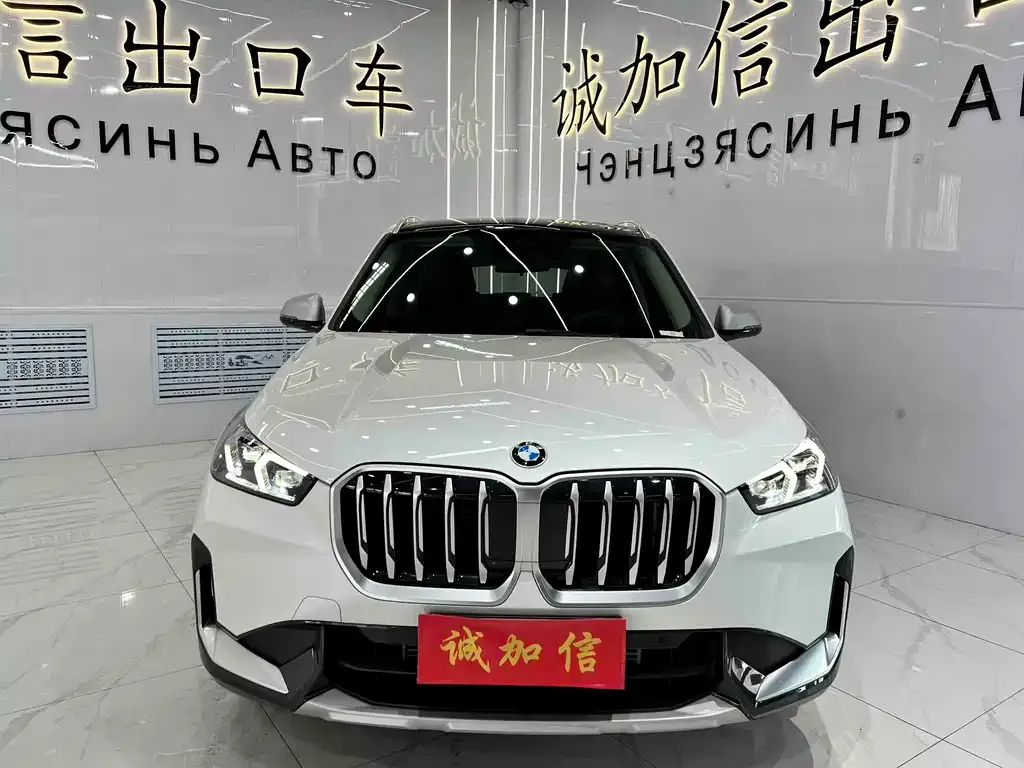 BMW X1 — фото 10