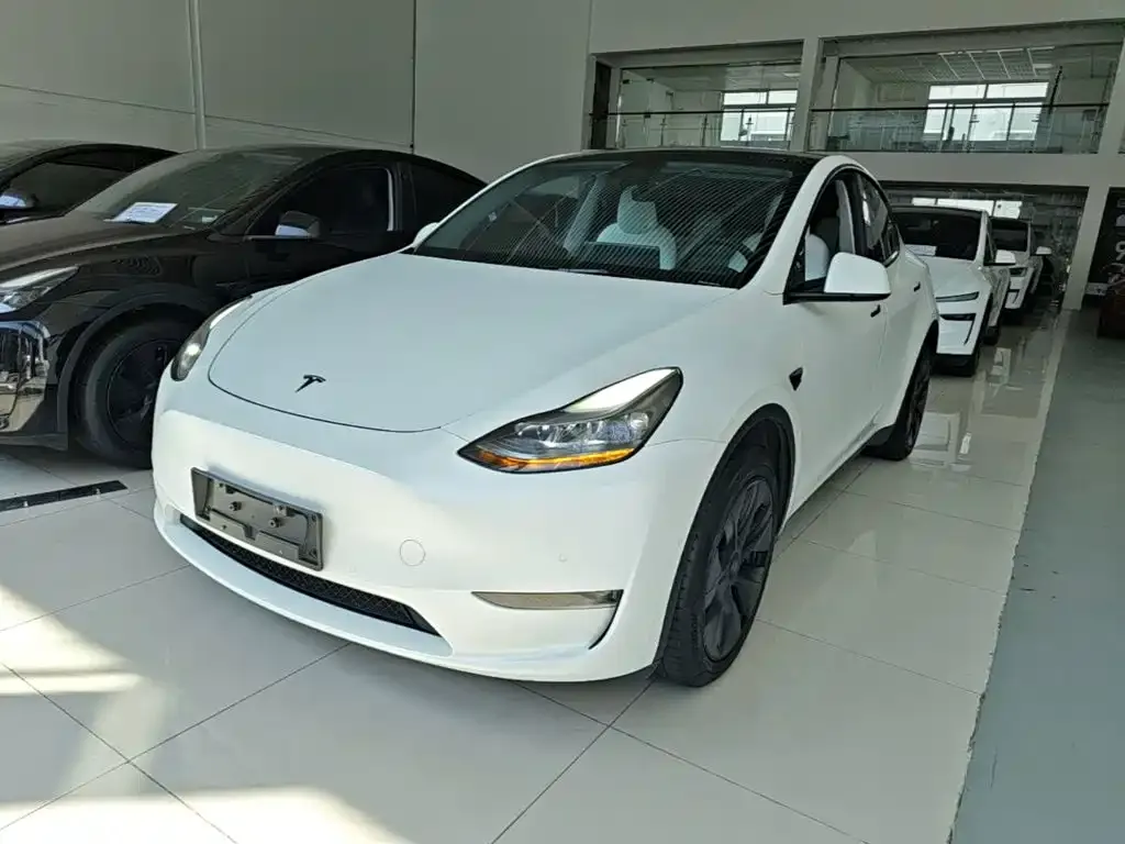 Tesla Model Y — фото 8