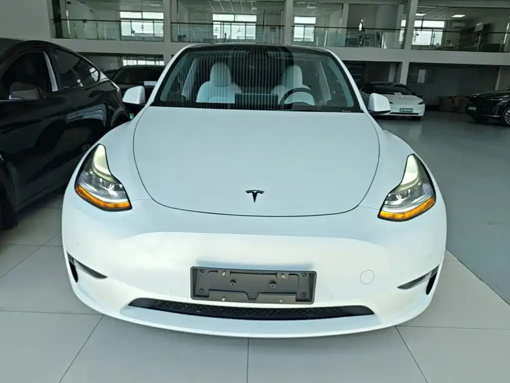 Tesla Model Y — фото 10