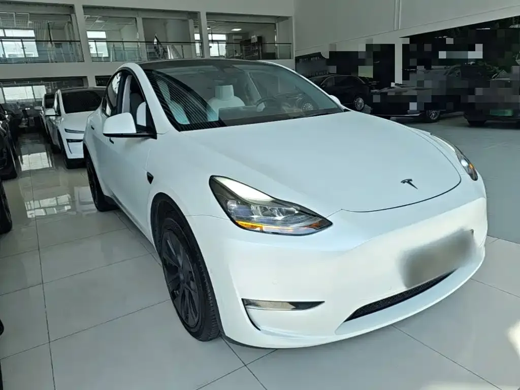 Tesla Model Y — фото 3