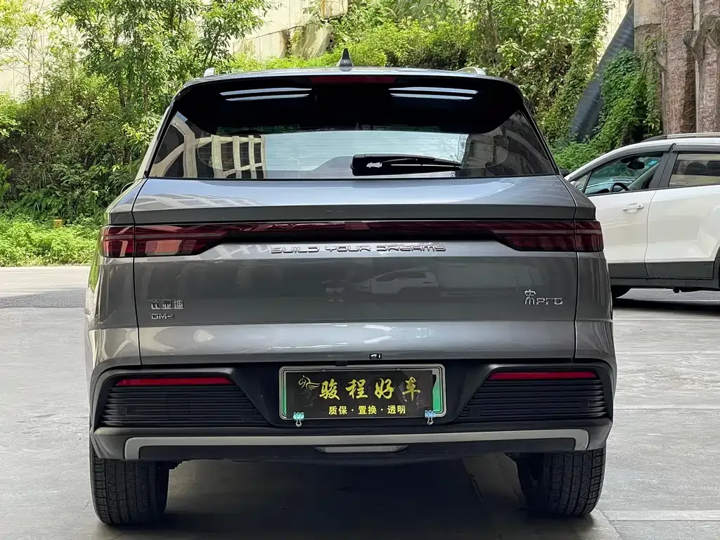 BYD Pro New Energy — фото 7