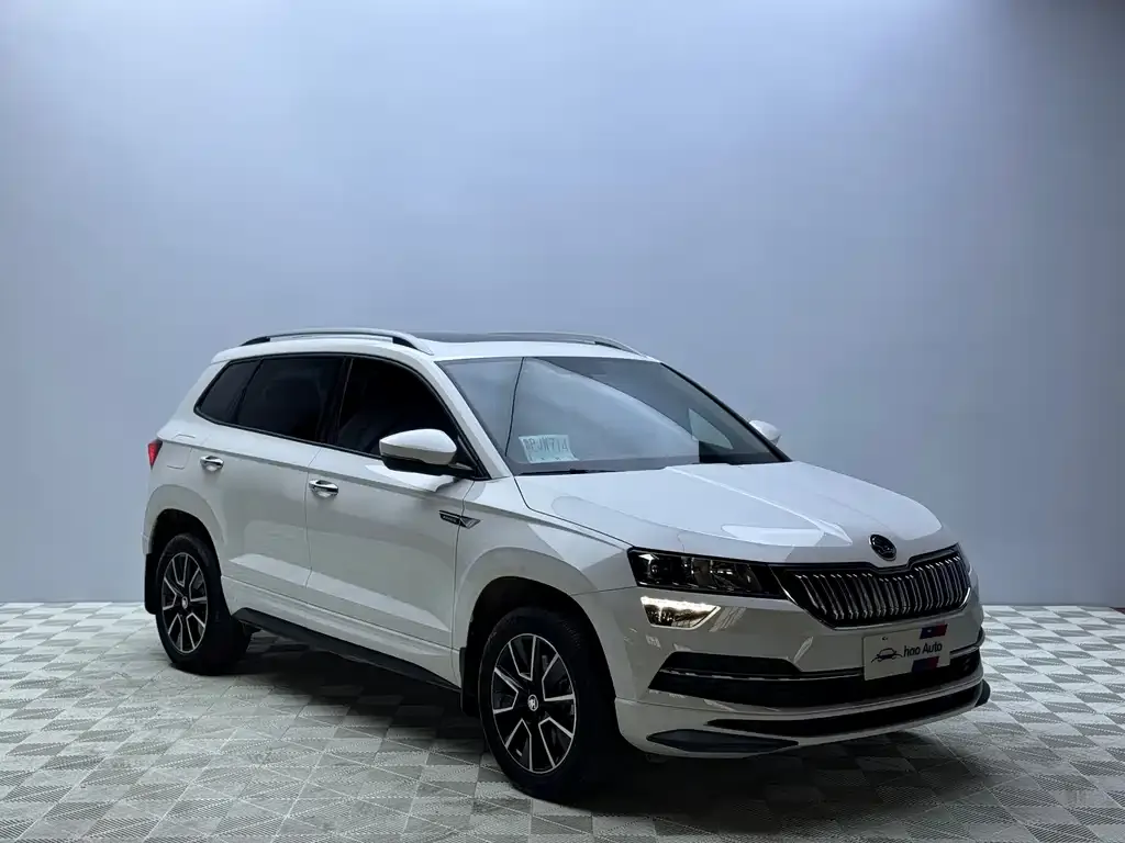 Skoda Karoq — фото 5