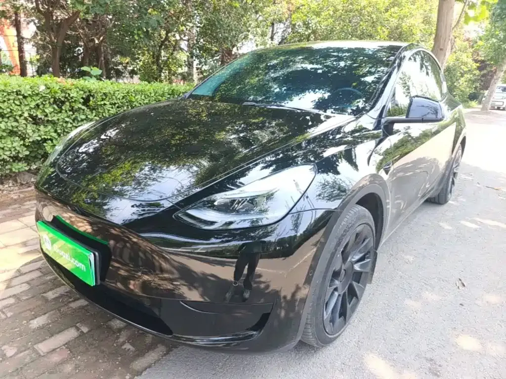 Tesla Model Y — фото 9