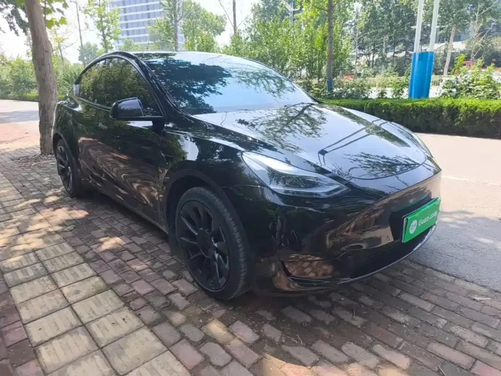 Tesla Model Y — фото 6