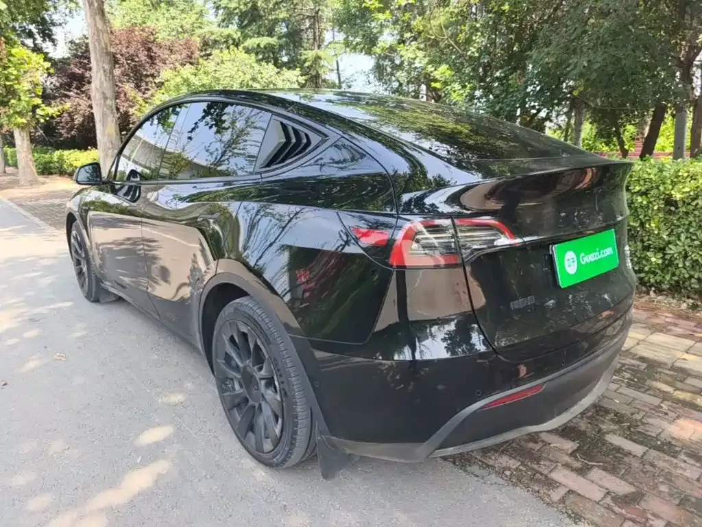 Tesla Model Y — фото 8