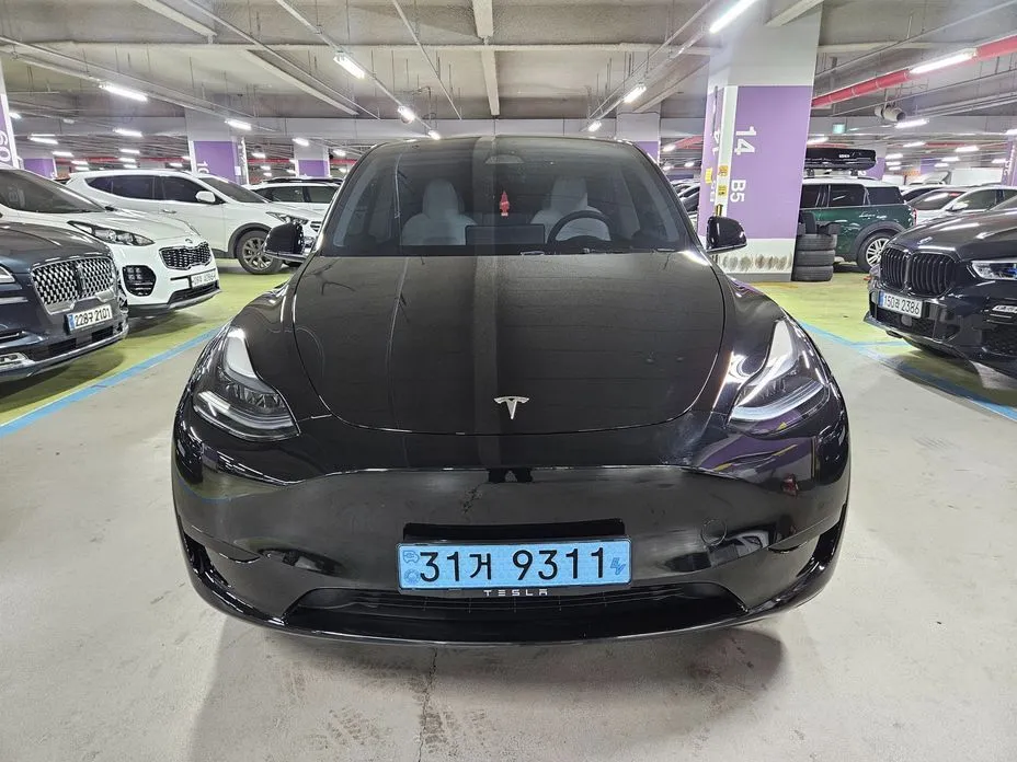 Tesla Model Y — фото 6