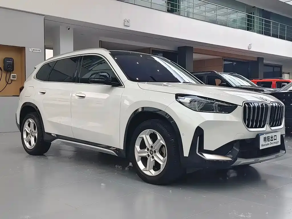 BMW X1 — фото 10