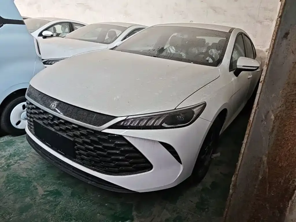 BYD Qin PLUS — фото 4