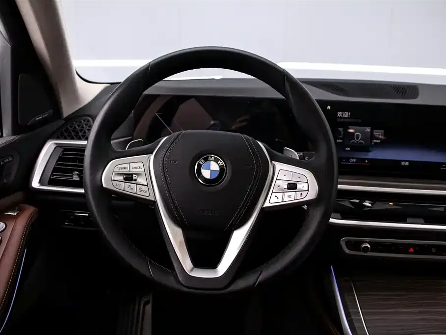 BMW X7 — фото 9