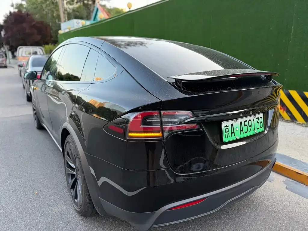 Tesla Model X — фото 5