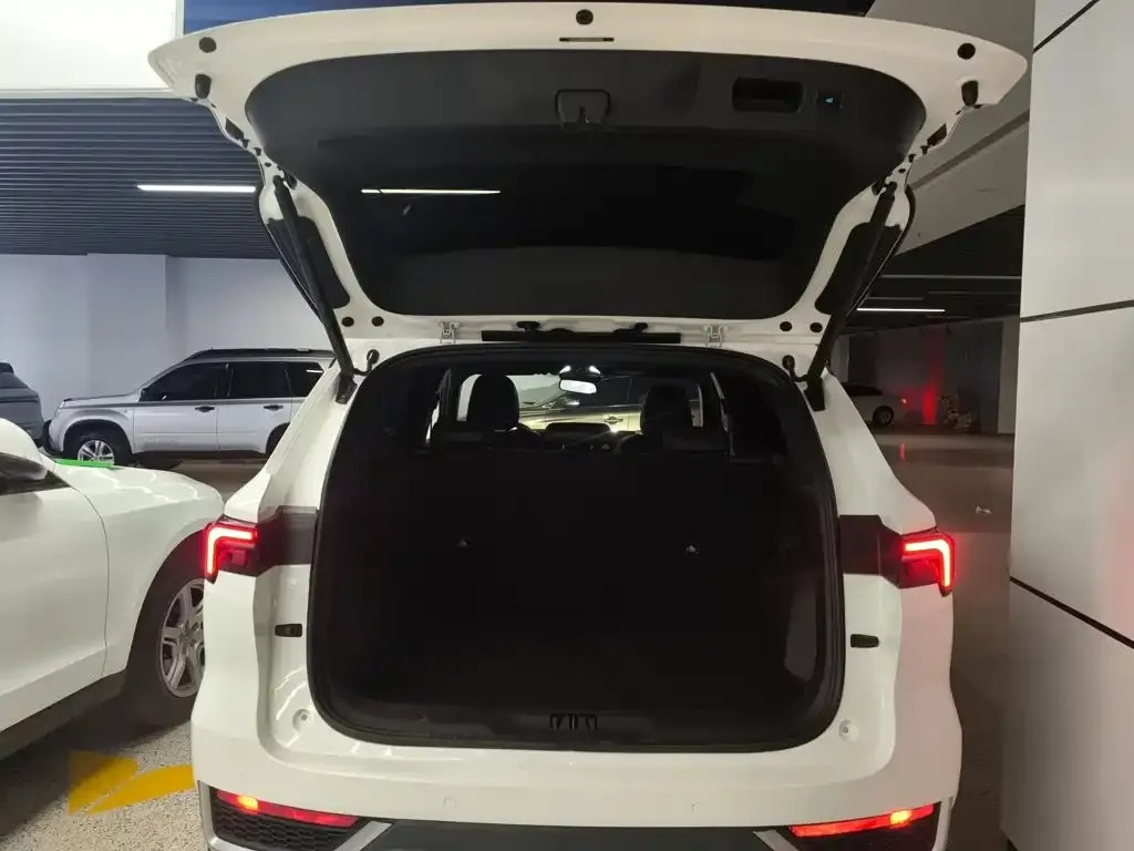 Ford Territory 2022 из CN, фото 4