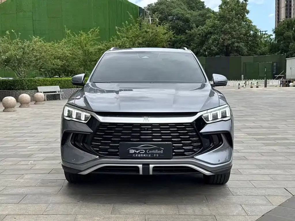 BYD Pro New Energy — фото 3