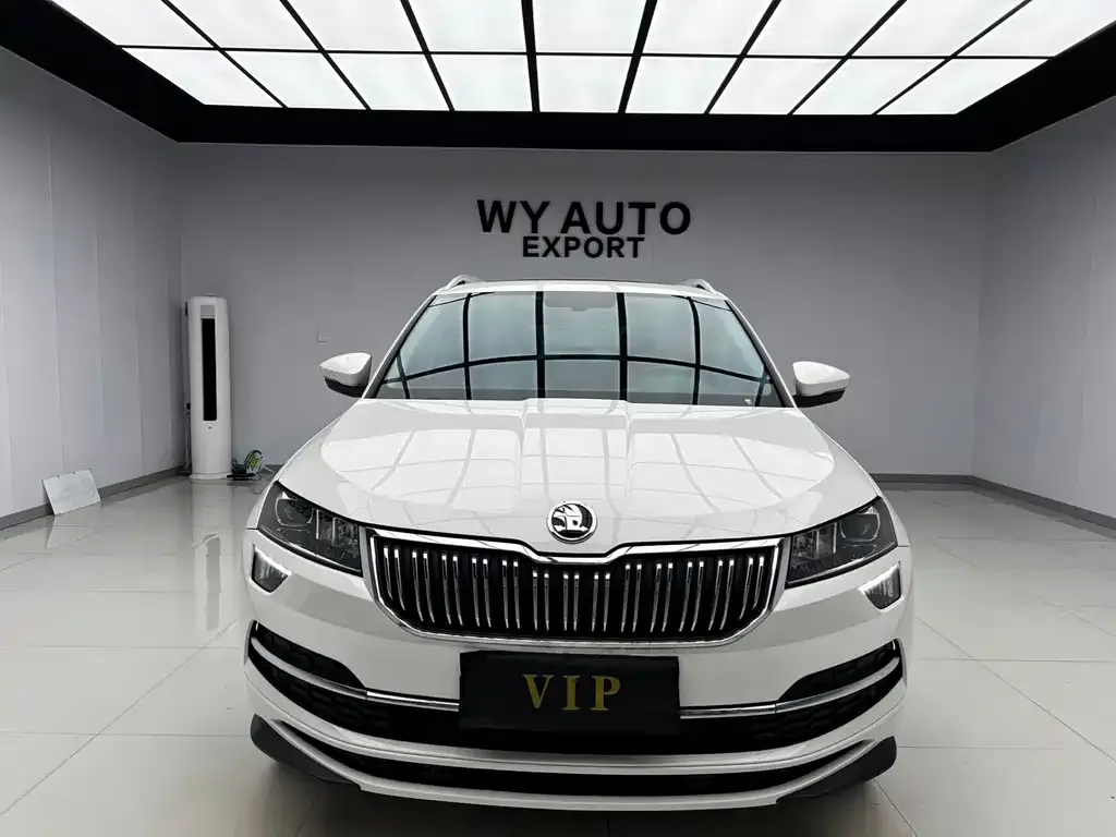 Skoda Karoq 2022 из CN, фото 5