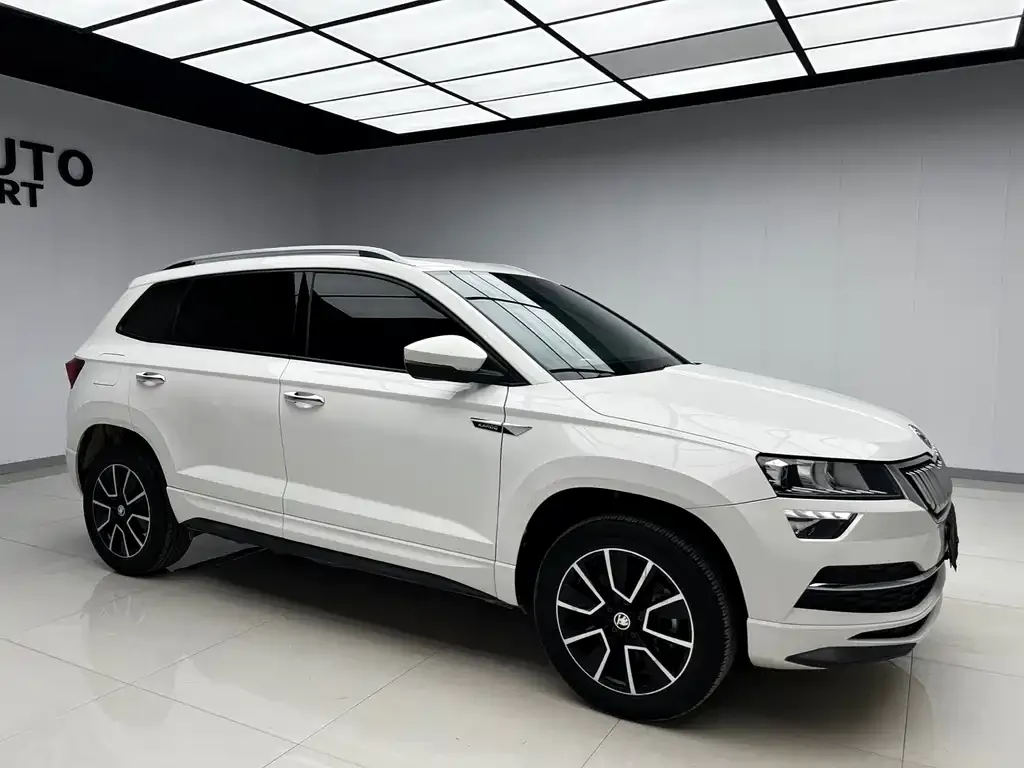 Skoda Karoq 2022 из CN, фото 4