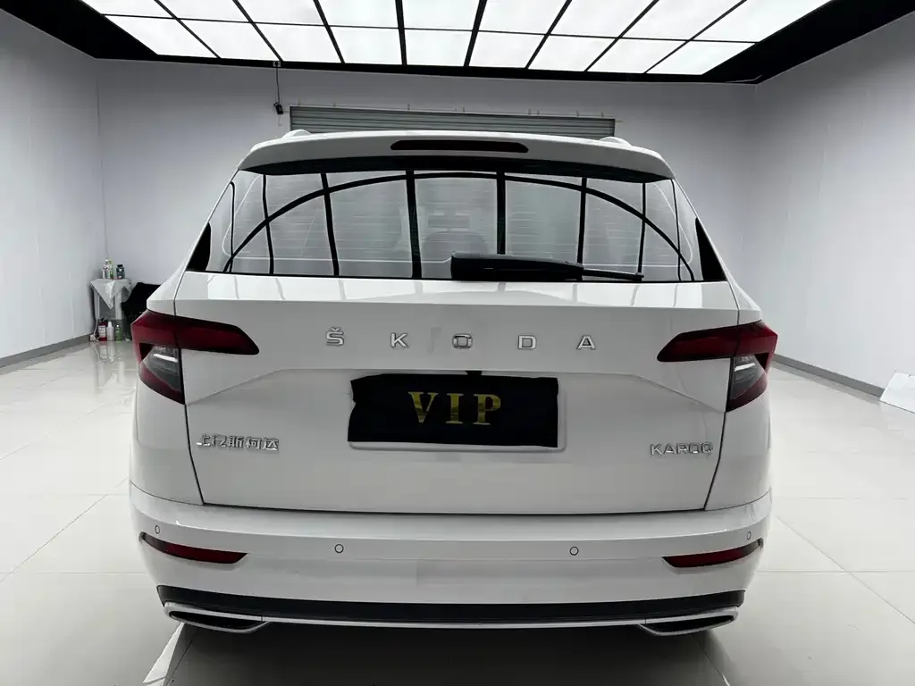 Skoda Karoq 2022 из CN, фото 2