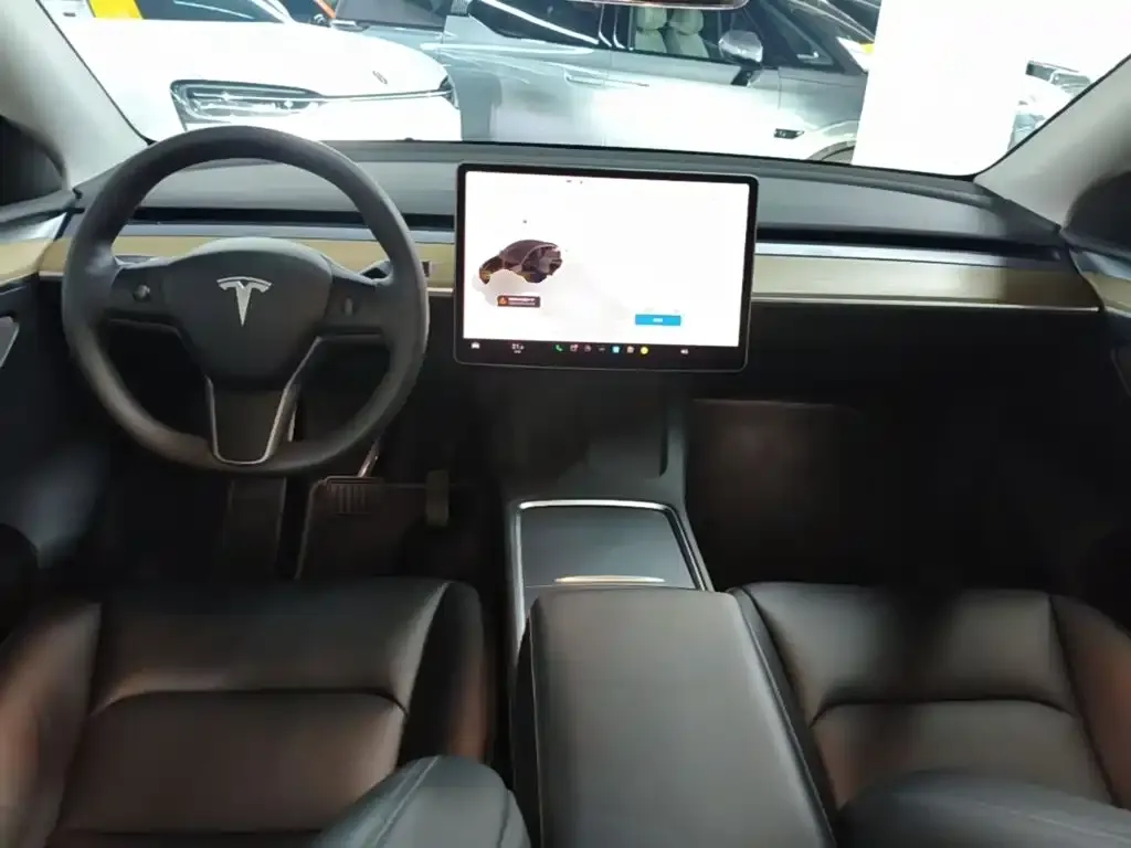 Tesla Model Y — фото 9