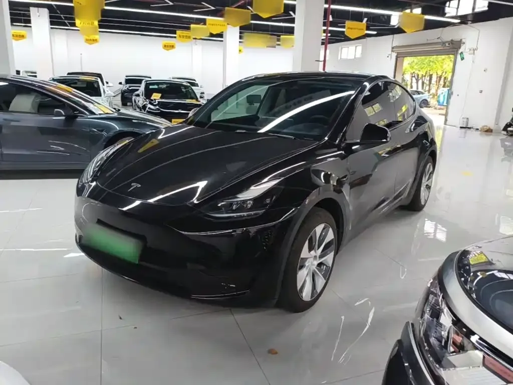 Tesla Model Y — фото 10