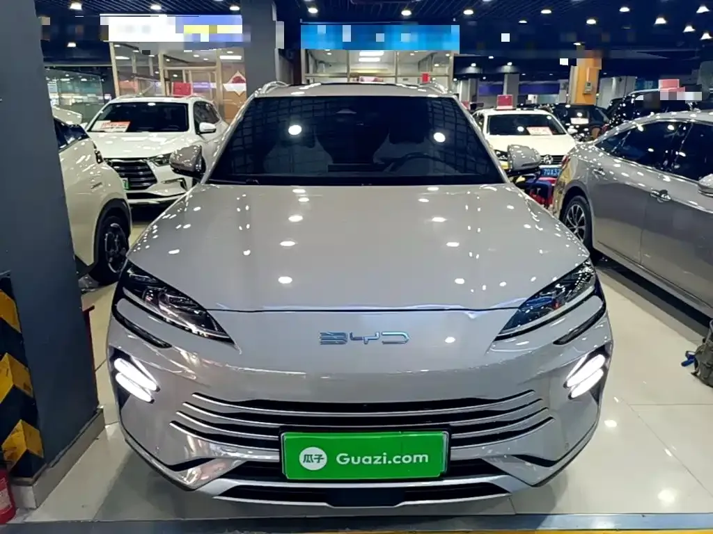 BYD PLUS New Energy — фото 9