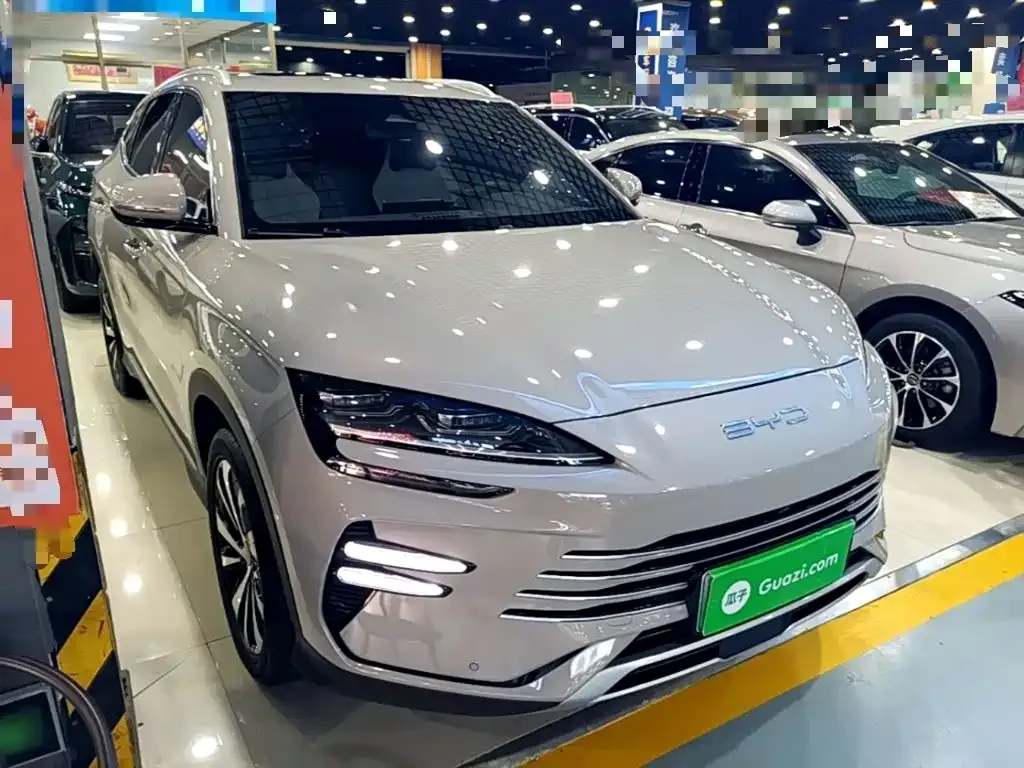 BYD PLUS New Energy — фото 10