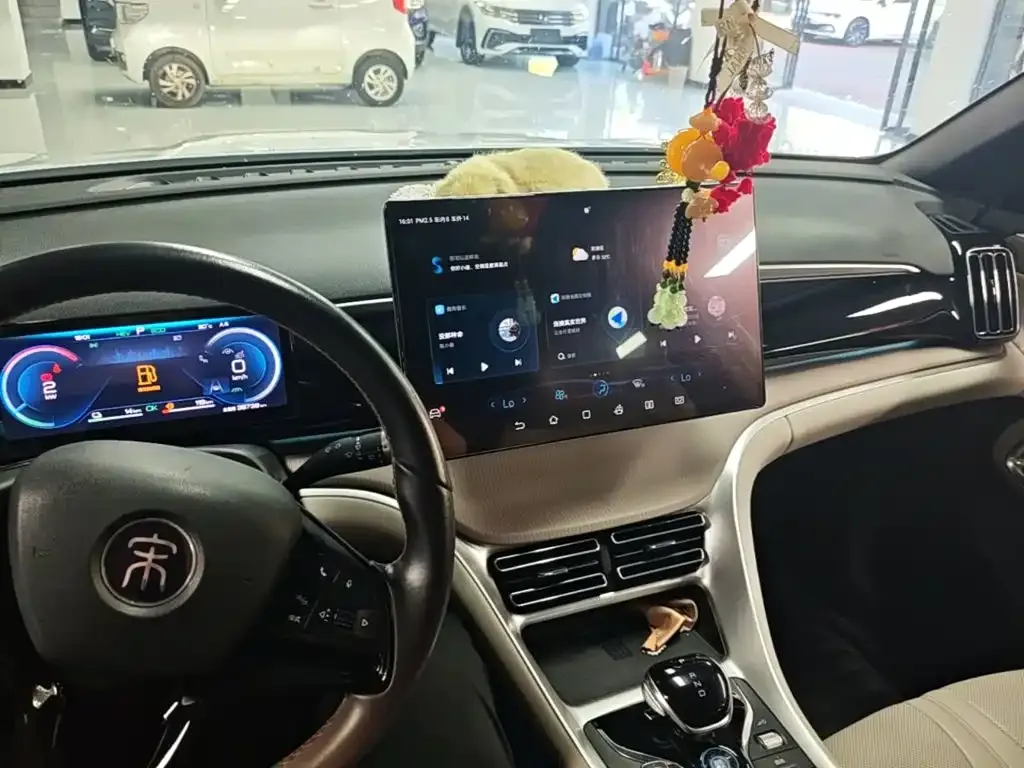 BYD Pro New Energy — фото 10