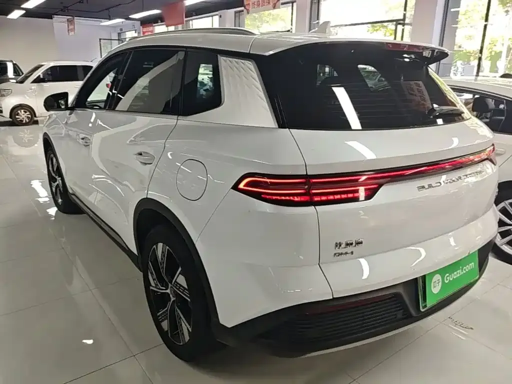 BYD Pro New Energy — фото 6