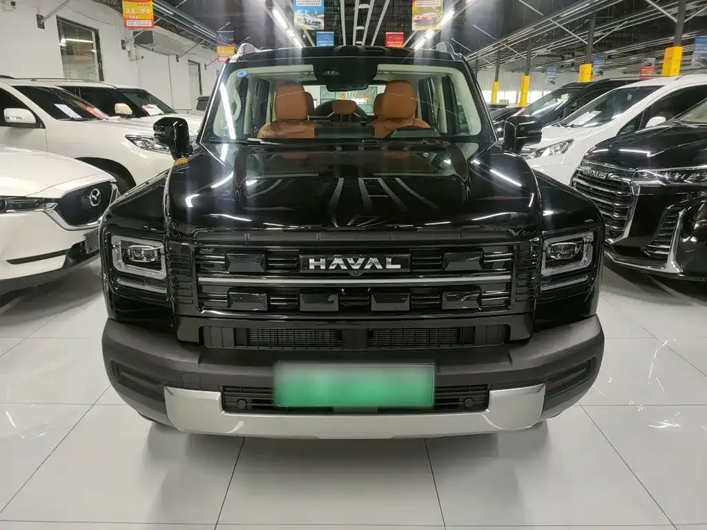 Haval Menglong New Energy — фото 6