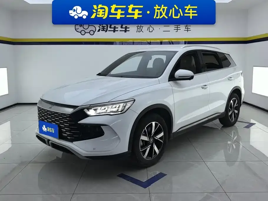 BYD Pro New Energy