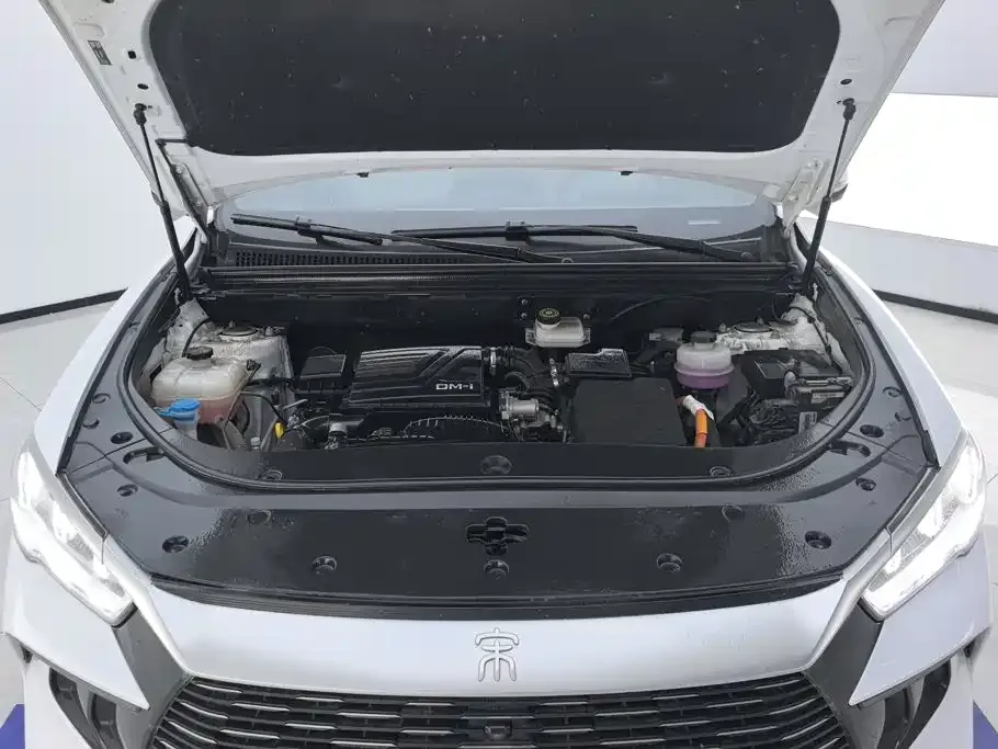 BYD Pro New Energy 2024 из CN, фото 9