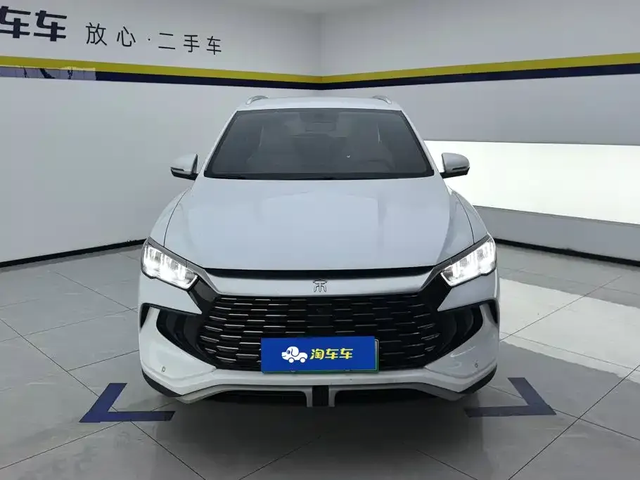 BYD Pro New Energy 2024 из CN, фото 2