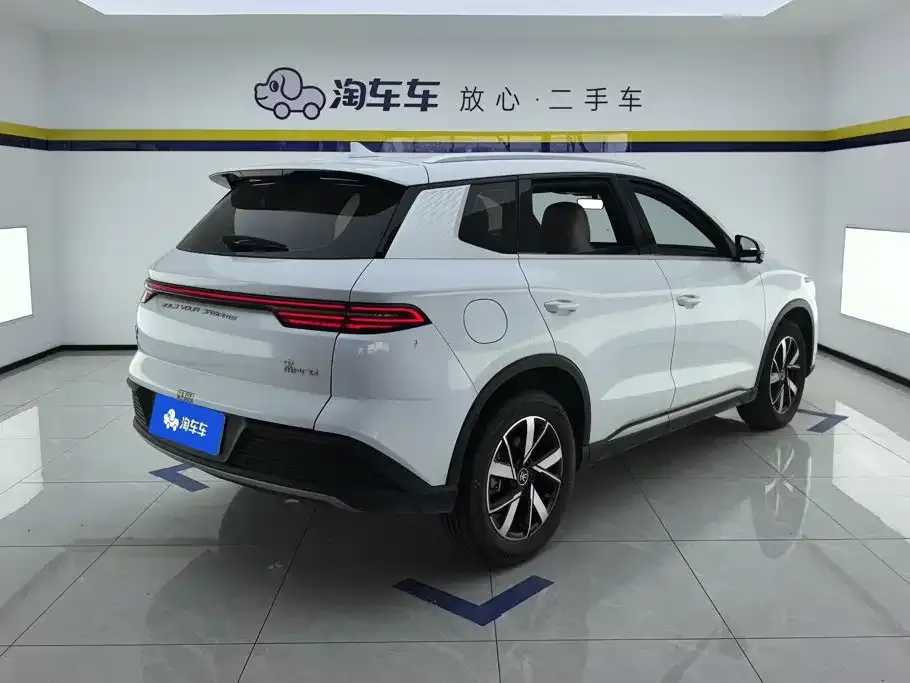 BYD Pro New Energy 2024 из CN, фото 3