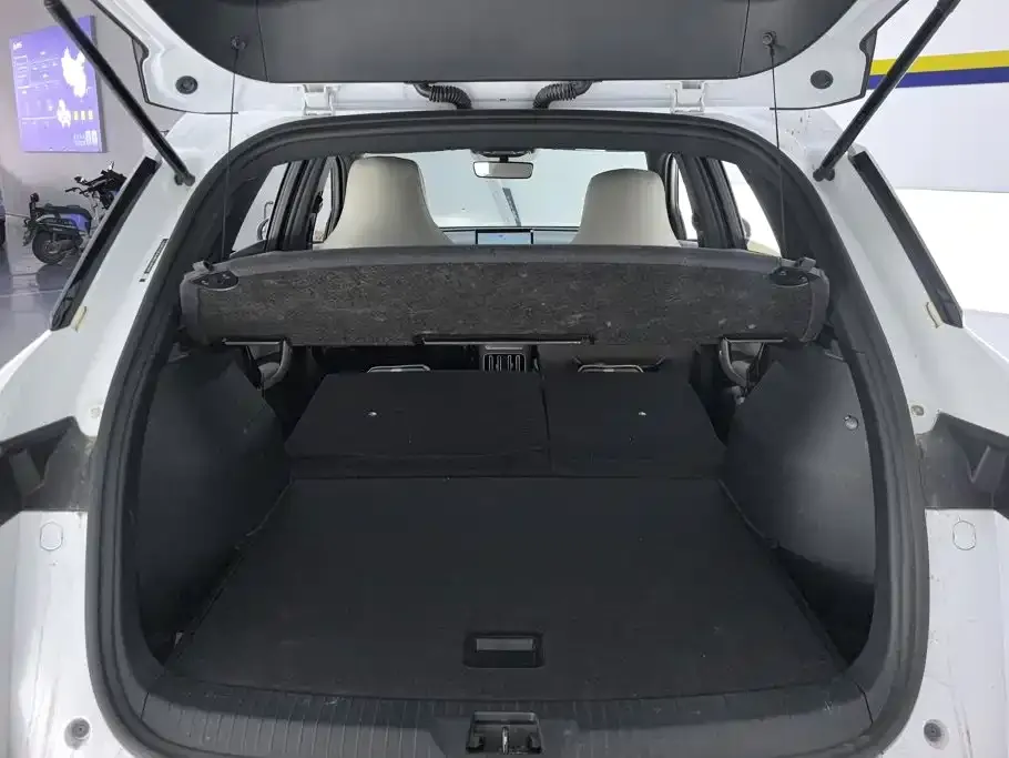 BYD Pro New Energy 2024 из CN, фото 5